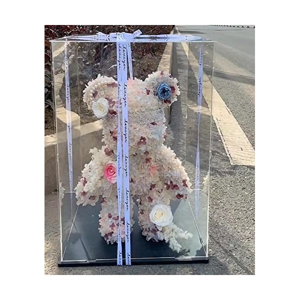 Vitrine Acrylique Transparent Animal En Peluche / Figurines D’action Boîtes De Cubes En Plastique Transparent Empilables - Av