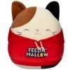 Squishmallow Kellytoy Collection officielle CK Bird Squad Squishy Soft Animals Cam Calico Cat Red Hoodie, 30,5 cm 