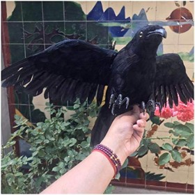 FMOGE Simulation Eagle Model - Eagle Model Toy Artificielle Pure Black Feather Simulé Eagle Model Mignon Réaliste Peluche Sim