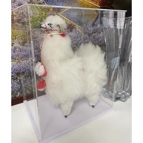 Vitrine Acrylique Transparent Boîte De Rangement Anti-poussière For Jouets En Peluche/figurines Daction Grands Organisateurs