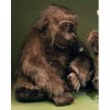 bûcheron plastique Animaux 1750 Gorilla Extra Large 80 cm