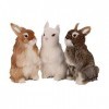 Modèle De Lapin Simulé - 3Pcs Jouet De Modèle De Lapin - Lapin Réaliste Artisanat Confortable - Modèle Animal De Simulation E