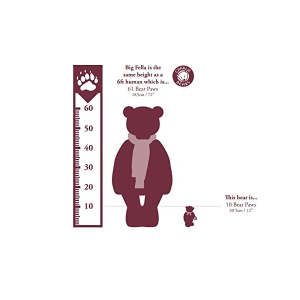 Charlie Bears - Granola | Ours en peluche en alpaga de la collection Isabelle 2021 édition limitée – Cadeau entièrement art