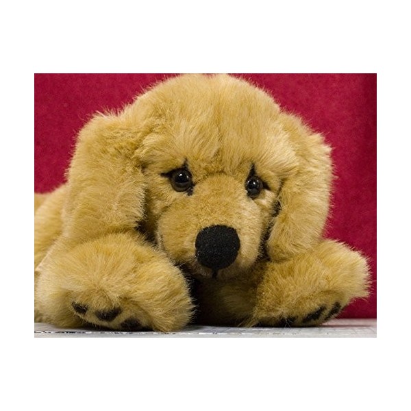 Bass et Bass Peluche Chien Golden Retriever Couche 40 CM - Ref F5190 - KOSEN - Fabriqué en Allemagne