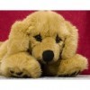 Bass et Bass Peluche Chien Golden Retriever Couche 40 CM - Ref F5190 - KOSEN - Fabriqué en Allemagne