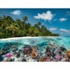 Ravensburger - Puzzle Adulte - Puzzle 2000 pièces - Une plongée aux Maldives - Adultes et enfants dès 14 ans - Puzzle de qual