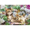 Schmidt Spiele 56468 Chatons ludiques, Puzzle Enfant de 150 pièces, Coloré