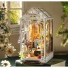 RoWood DIY Book Nook Kit - Maison de Jardin | Puzzle 3D Serre Livres en Bois | Booknook Miniature | Jeux pour Adultes à Const