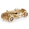 ROKR Car en Bois à Construire - 3D Puzzle Maquette Bois - Maquette mécanique pour des Enfants et des Adulte Grand Prix Car 