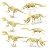 Starters Puzzle 3D Dinosaure 7 pièces | Simulation Squelette Animaux Mains Artisanat Puzzle STEM Jouets pour Enfants Adultes 