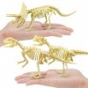 basisago Puzzle 3D Dinosaure 7 pièces | modèle dos Squelette Puzzle Dinosaure à Construire pour des Animaux Squelette dadul