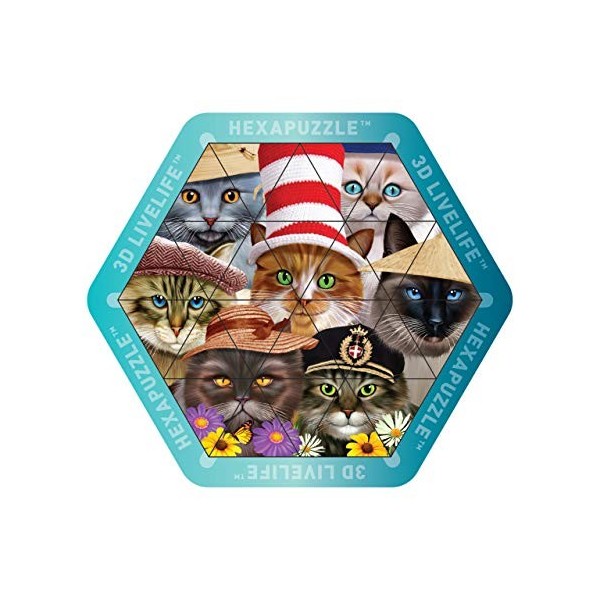 3D LiveLife Hexapuzzle - Chats dans des Chapeaux. 3D lenticulaire Cat Puzzle avec 24 Morceaux magnétiques ! Chaîne magnétique