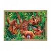 Deluxebase 3D LiveLife Tray Jigsaw Puzzle - Oscillation dorang-outan. Puzzle lenticulaire de la Jungle 3D avec 40 Morceaux !