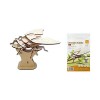 Puzzle 3D Libellule Praying Mantis Cigale Bee Model Kits Assembler Puzzle pour enfants