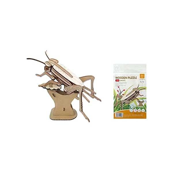 Puzzle 3D Libellule Praying Mantis Cigale Bee Model Kits Assembler Puzzle pour enfants