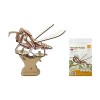 Puzzle 3D Libellule Praying Mantis Cigale Bee Model Kits Assembler Puzzle pour enfants