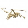 Kit de Construction en Bois 3D Puzzle Pterodactylus