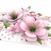 MOKIO® Carte Fleur Pop-Up – Fleurs de Cerisier Japonais – Carte cadeau 3D pour un anniversaire ou comme bon cadeau, Sakura Ar