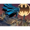 DC Comic- Batman-Signal Does Not Apply Puzzle Effet 3D, BM32518, Multicolore, One Size