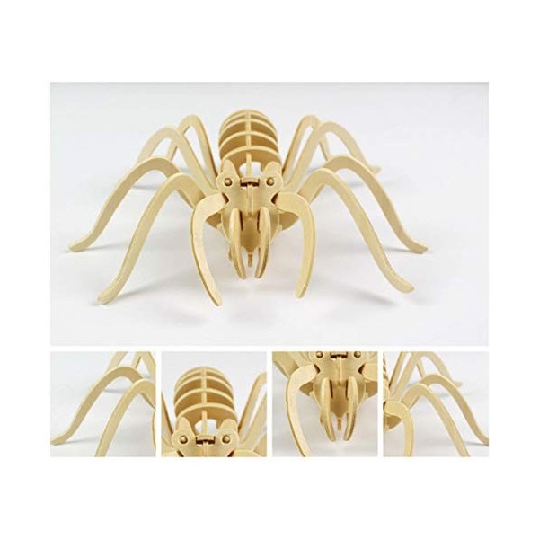 Balacoo DIY 3D Animal en Bois Puzzles 3D Araignée Puzzle Assemblée DIY en Bois Artisanat 3D Puzzle Tige Jouets Cadeaux pour E