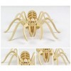 Balacoo DIY 3D Animal en Bois Puzzles 3D Araignée Puzzle Assemblée DIY en Bois Artisanat 3D Puzzle Tige Jouets Cadeaux pour E