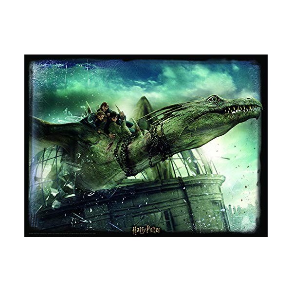 Harry Potter Norbert Amd Hermoine Granger Puzzle 3D 500 pièces Multicolore