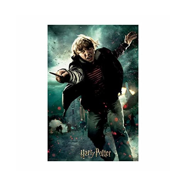 Prime 3D- Redstring-Puzzle lenticulaire Harry Potter Ron Weasley Bataille 300 pièces Effet 3D , lenticular Pott, Multicolore