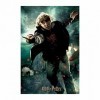 Prime 3D- Redstring-Puzzle lenticulaire Harry Potter Ron Weasley Bataille 300 pièces Effet 3D , lenticular Pott, Multicolore