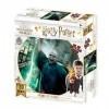 Harry Potter HP32560 Puzzle Voldemort Effet 3D 500 pièces