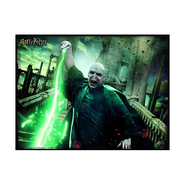 Harry Potter HP32560 Puzzle Voldemort Effet 3D 500 pièces