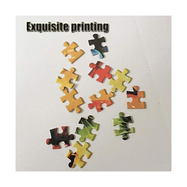 JGDYMX Jouets - 3D Bois Puzzle Adultes Puzzle Enfant Jeux Jouets Classiques - Hunter X Hunter - Cadeau -50*75cm-1000 pièces