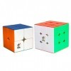 FunnyGoo Pack Contenant Deux Packs Cube de Vitesse YuXin Little Magic, Cube de Vitesse YuXin Little Magic 2x2x2 + 3x3x3 Cube 