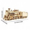 Bagima Puzzle 3D - Véhicule modèle de train à vapeur - Puzzle en bois 3D - Jouets de montage pour adultes et adolescents - Pu