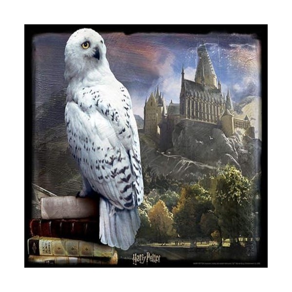 Grandi Giochi Harry Potter Edvige Puzzle lenticulaire Horizontal avec 500 pièces incluses et Emballage avec Effet 3D-PU10000,