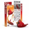 EUGY Eco-Friendly 3D Paper Puzzle Cardinal 