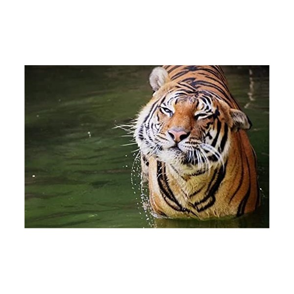 Puzzles en Bois pour Adultes - Puzzles Uniques Personnalisés - Foudre dans Le Ciel Puzzle & Décoration Murale - Cadeau pour A