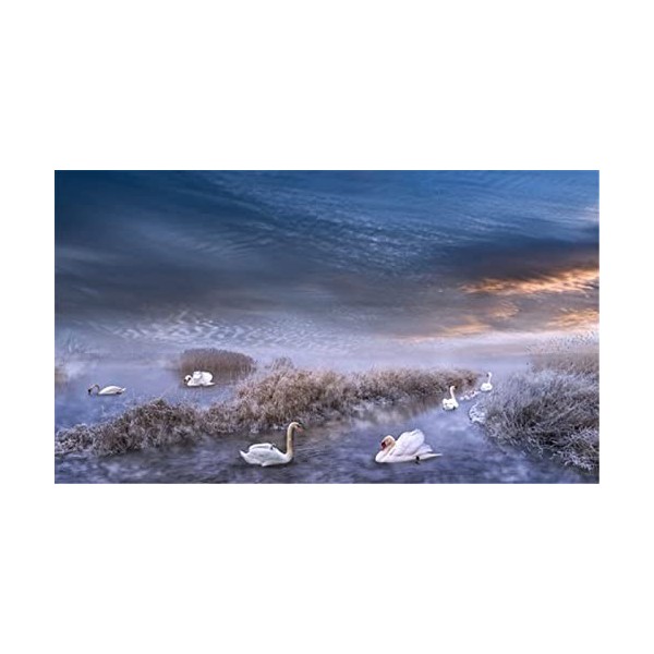 Puzzles en Bois pour Adultes - Puzzles Uniques Personnalisés - Foudre dans Le Ciel Puzzle & Décoration Murale - Cadeau pour A