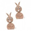 TOYANDONA 2 Pièces Casse-tête Animaux 3D Figurine De Lapin en Bois Casse-tête De La Tige Animaux Assemblés Figurine Puzzle en