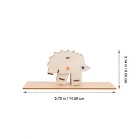 Toyvian 2 Ensembles Matériaux Expérimentaux Scientifiques Jouet Déquilibre en Bois Les Indispensables De La Classe De 3ème J