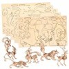 Toyvian 5 Pièces Casse-tête en Bois Disque Eulers Puzzles Uniques pour Adultes Colle pour Puzzle Casse-tête Difficile Casse-t