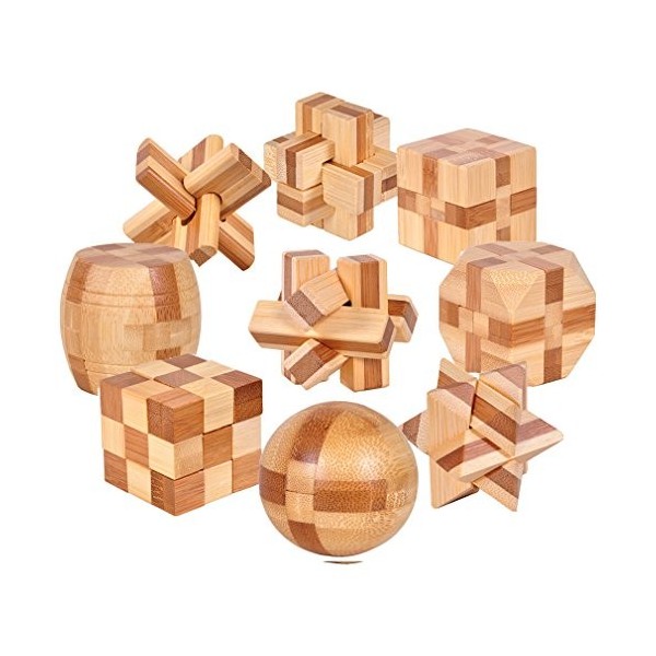 Gracelaza Casse-Tête en Bois Set 9 Pièces - Jouet de Puzzle en Bois - 3D Puzzle en Bois - Jouets pour des Enfants et des Adol