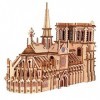 T-Club Casse-tête 3D en Bois Kits modèles Adultes Jouet dAssemblage Bricolage Maquette dArchitecture en Bois DIY Notre Dame