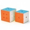 TOYESS Ensemble de Speed Cube, Magic Cube 3x3 + 2x2, Cube de Vitesse, Cadeau pour Enfants et Aduletes, Stickerless 2 Pack 