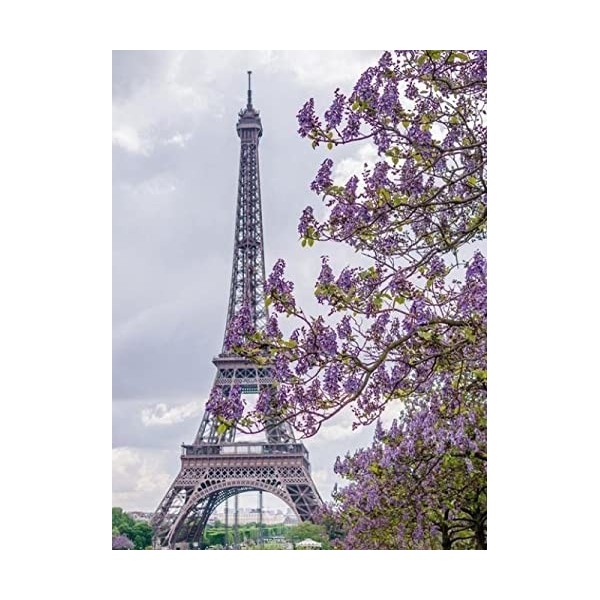 Puzzle Adulte 80 Pièces Puzzle 3D 80 teiliges Puzzle Puzzlesets Toy Brain Teaser Brain Challenge Puzzlesets -Eiffel tower