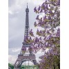 Puzzle Adulte 80 Pièces Puzzle 3D 80 teiliges Puzzle Puzzlesets Toy Brain Teaser Brain Challenge Puzzlesets -Eiffel tower