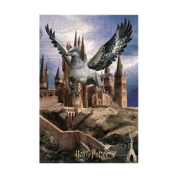 Prime 3D- Redstring-Puzzle lenticulaire Harry Potter Buckbeak 300 pièces Effet 3D , lenticular Pott, Multicolore