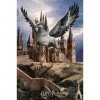 Prime 3D- Redstring-Puzzle lenticulaire Harry Potter Buckbeak 300 pièces Effet 3D , lenticular Pott, Multicolore