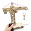 Restokki Jouet de Grue en Bois, Jouet en Bois Grue Playset télécommande éducatif 3D Assemblage de Grue en Bois modèle mécaniq