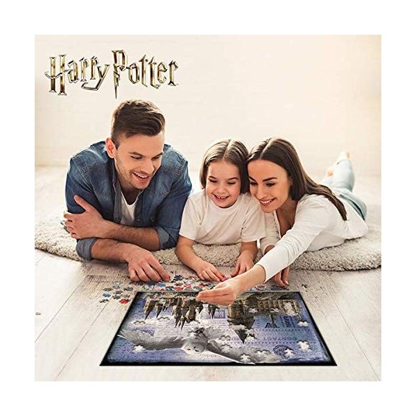 RED STRING Prime 3D Puzzle Harry Potter Hogwarts & Hedwig 500 pièces Efet 3D 5111513 