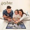RED STRING Prime 3D Puzzle Harry Potter Hogwarts & Hedwig 500 pièces Efet 3D 5111513 